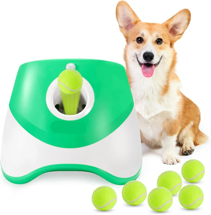 Bau & Miao™ Ball Thrower – Automatic Ball Toy