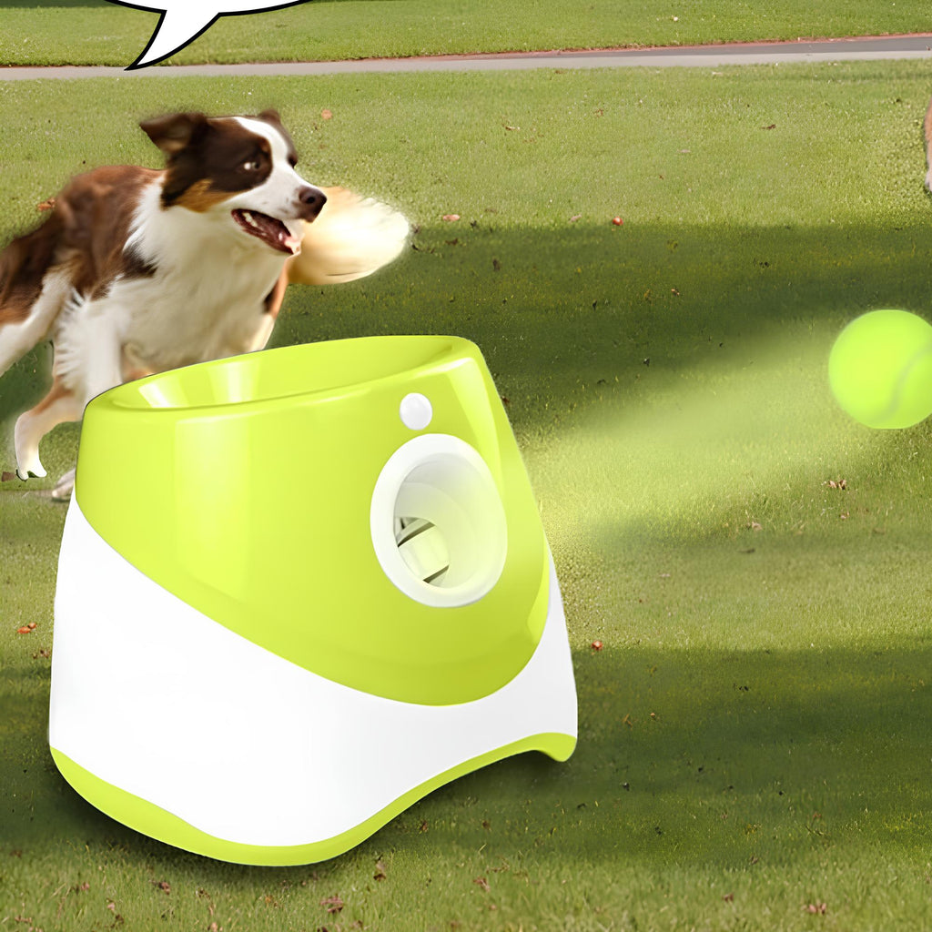 Bau & Miao™ Ball Thrower – Automatic Ball Toy