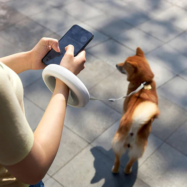 Bau & Miao™ Collar Set – Retractable Dog Leash