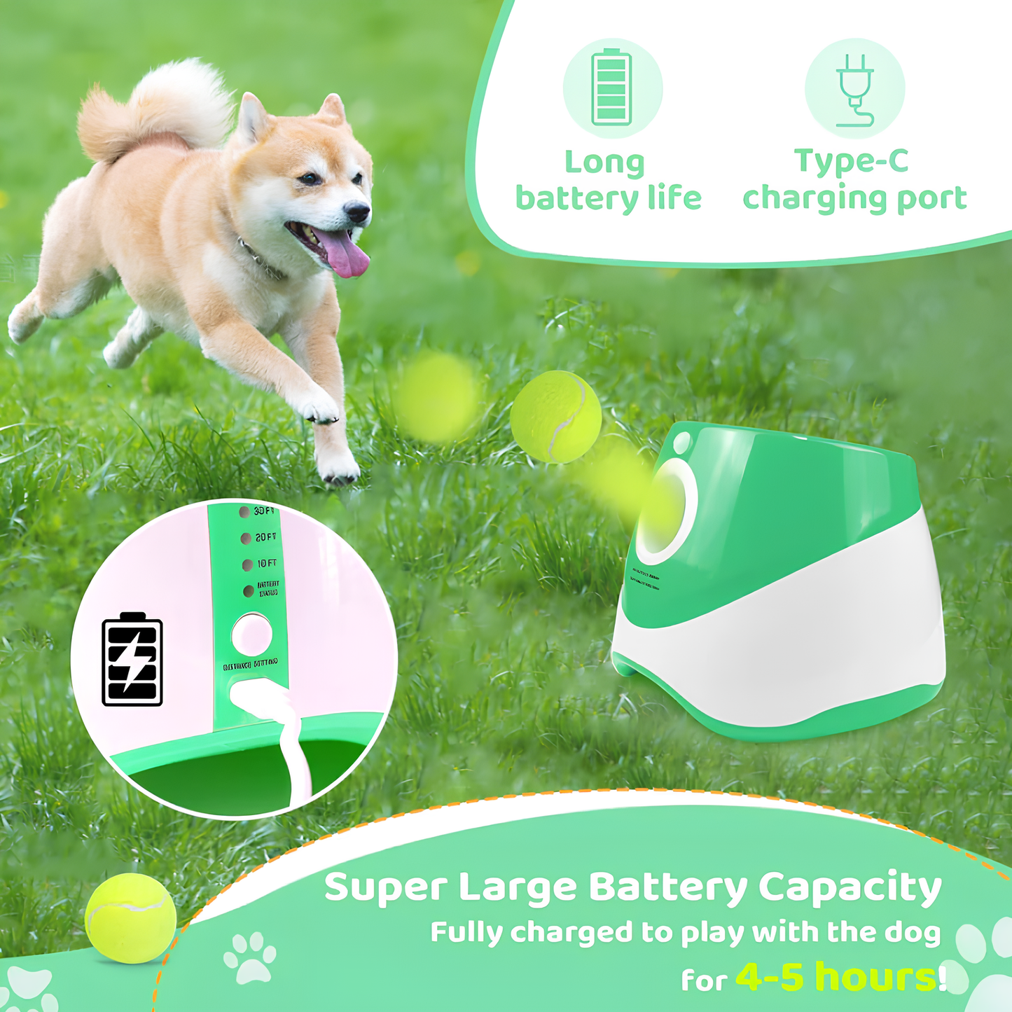 Bau & Miao™ Ball Thrower – Automatic Ball Toy