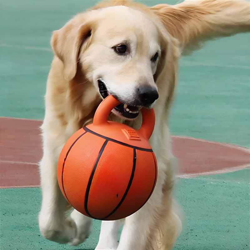 Bau & Miao™ Training Game – Dog Toy Ball