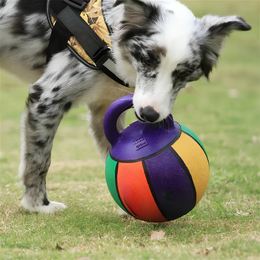 Bau & Miao™ Training Game – Dog Toy Ball