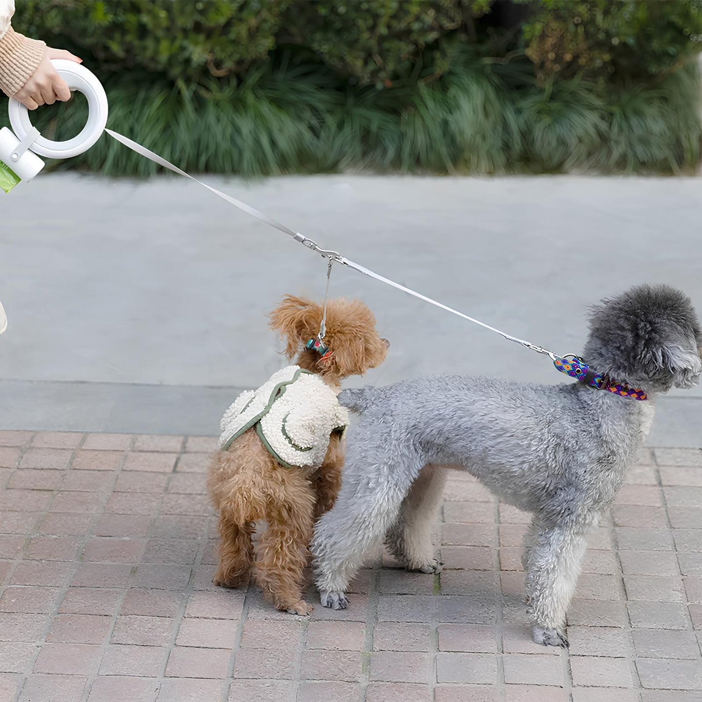 Bau & Miao™ Collar Set – Retractable Dog Leash