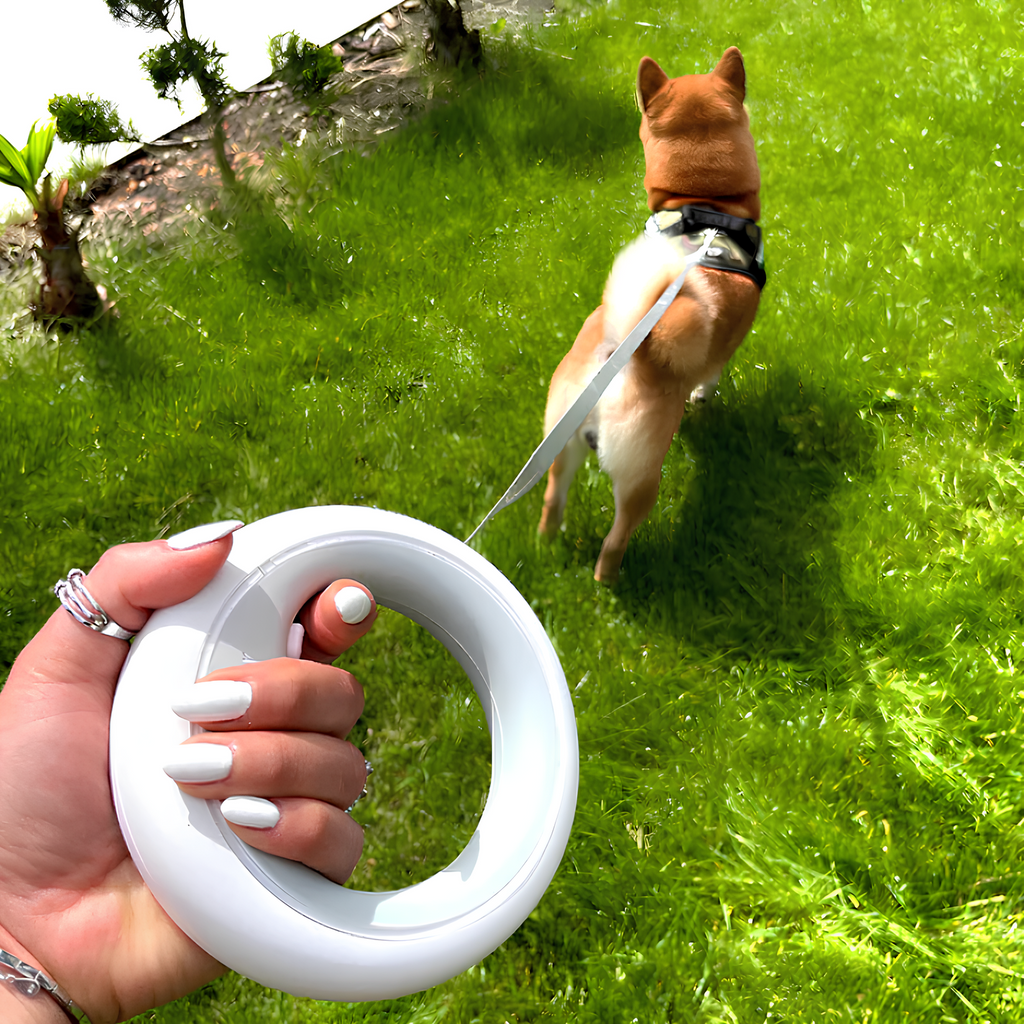 Bau & Miao™ Collar Set – Retractable Dog Leash