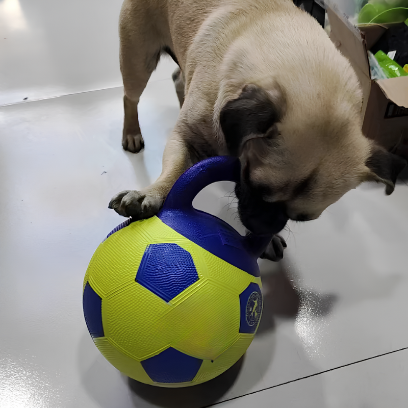 Bau & Miao™ Training Game – Dog Toy Ball