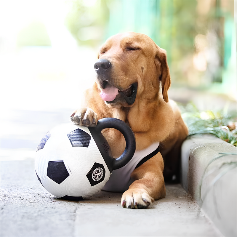 Bau & Miao™ Training Game – Dog Toy Ball